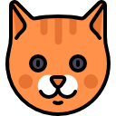 belarussian state university flaticon