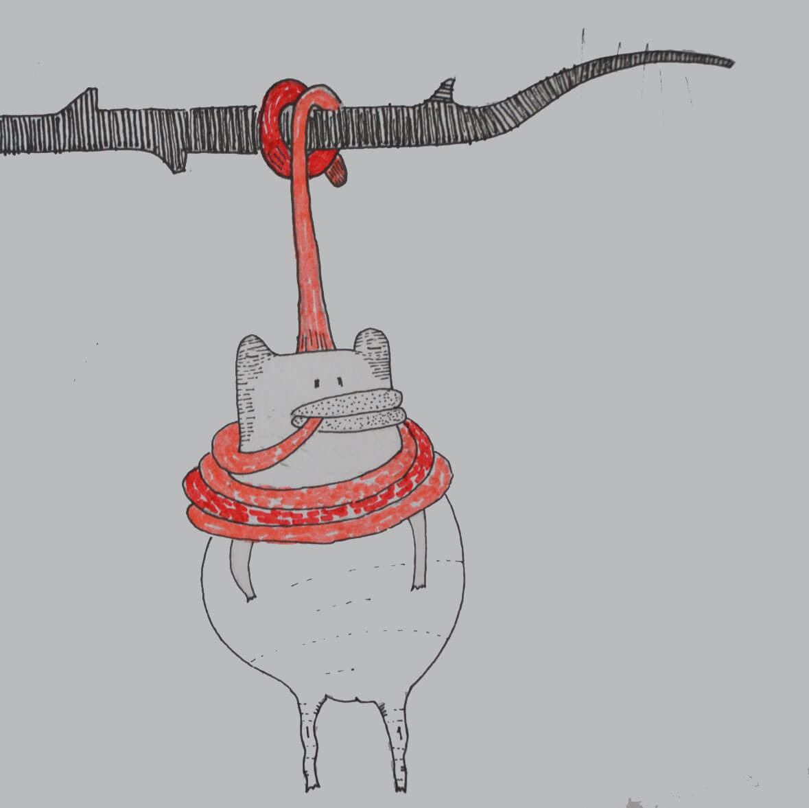 frog suicide