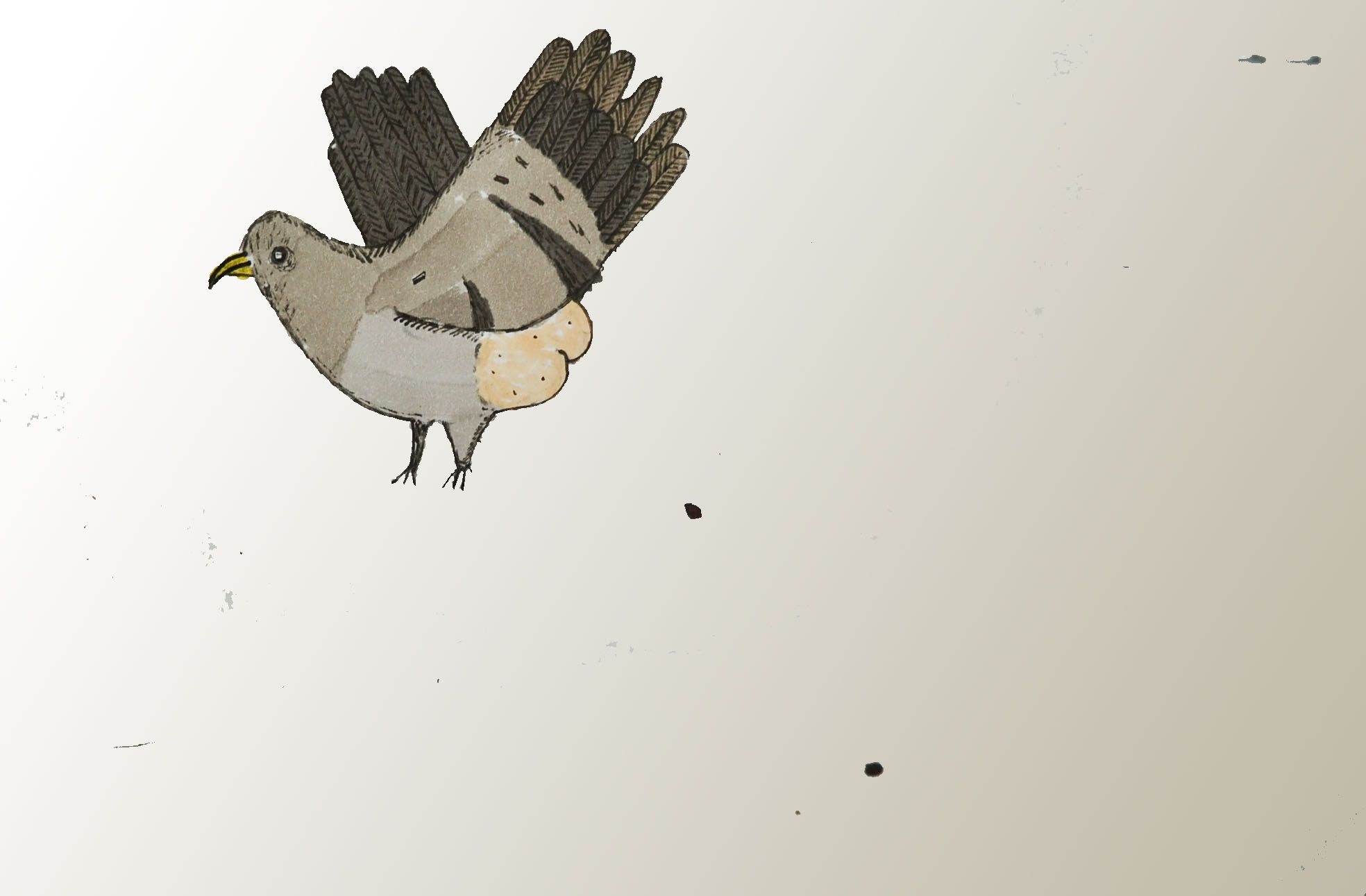 angry pigeon of doom
